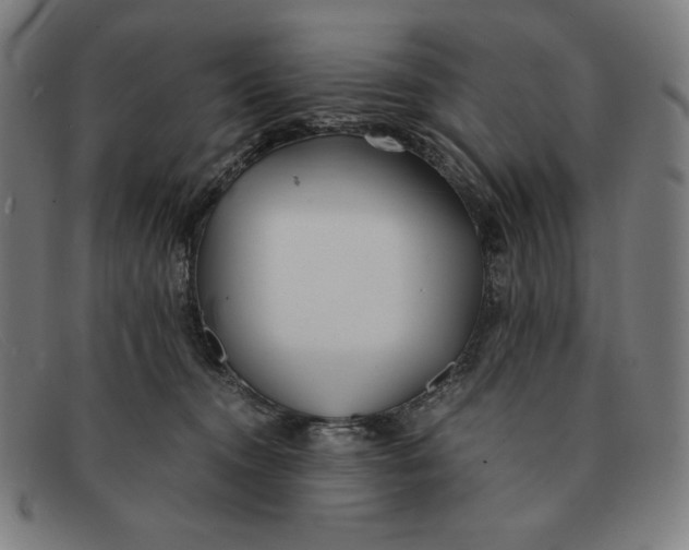 X0000091300372200708311341