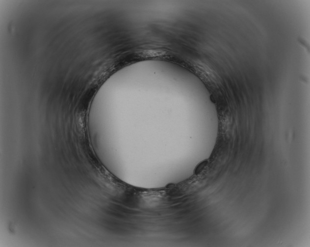 X0000091300373200708311341