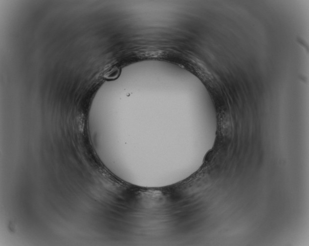 X0000091300374200708311341