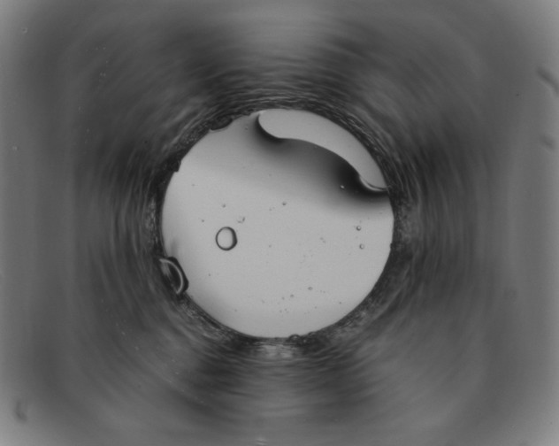 X0000091300376200708311342