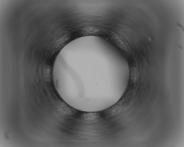 X0000091300378200708311342