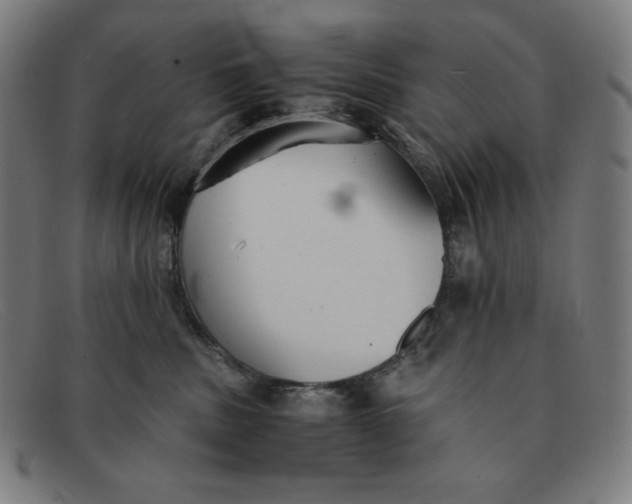 X0000091300379200708311342