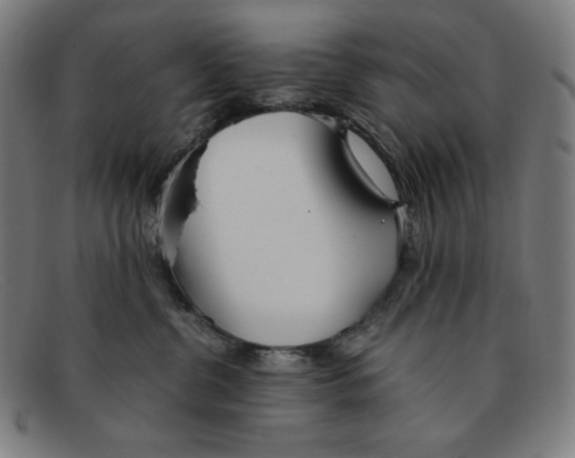 X0000091300380200708311342