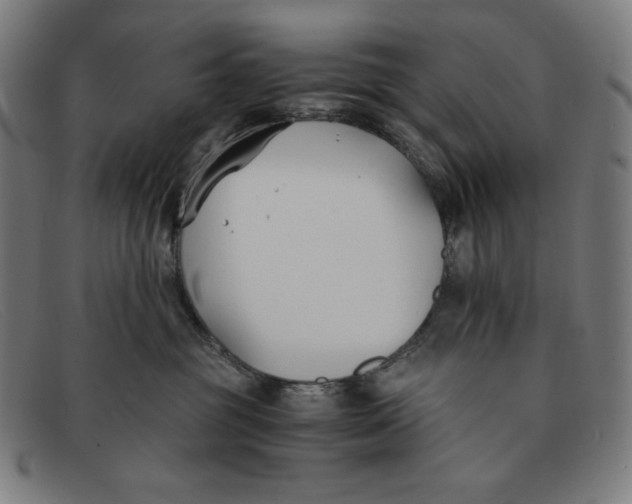 X0000091300381200708311342