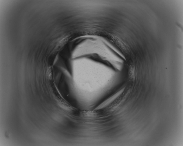 X0000091300383200708311342