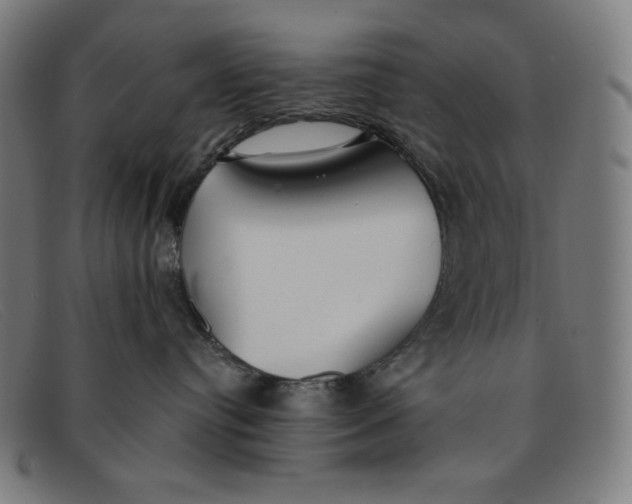 X0000091300384200708311342