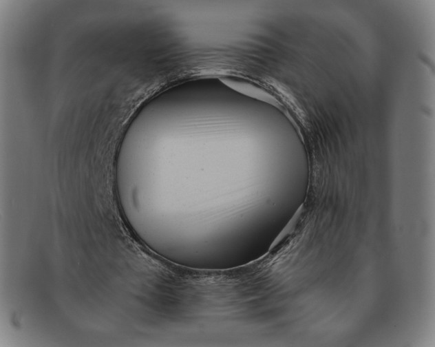 X0000091300385200708311341