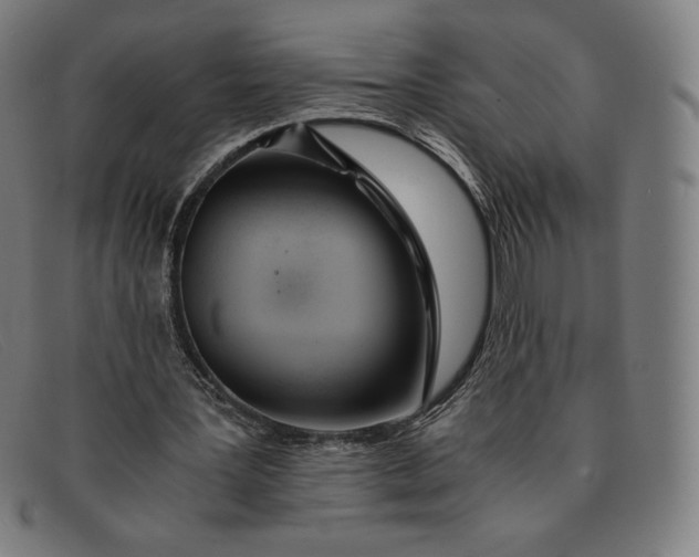 X0000091300387200708311341