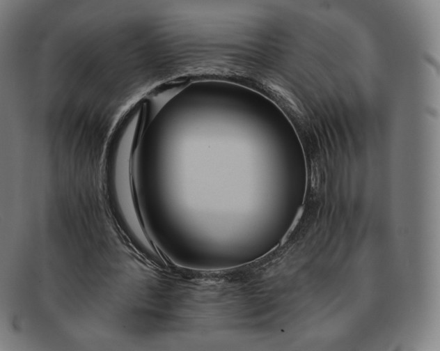 X0000091300388200708311341