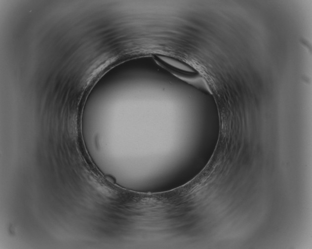 X0000091300390200708311341