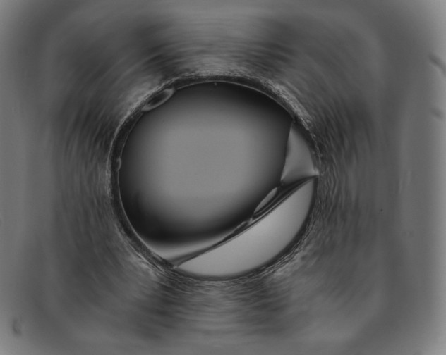 X0000091300391200708311341