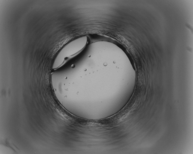 X0000091300393200708311341