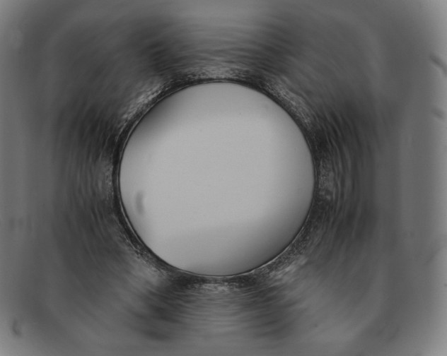 X0000091300394200708311341