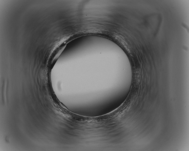 X0000091300395200708311341