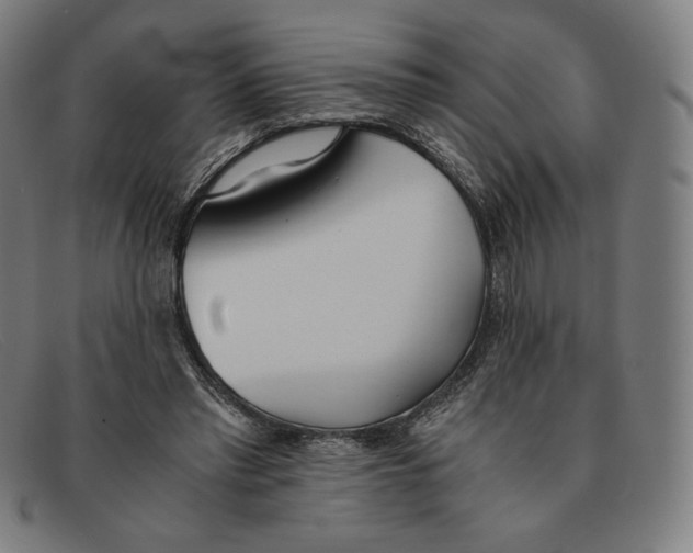 X0000091300397200708311341