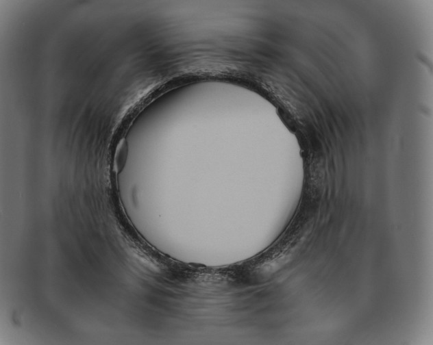 X0000091300399200708311341