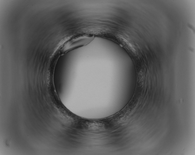 X0000091300400200708311341