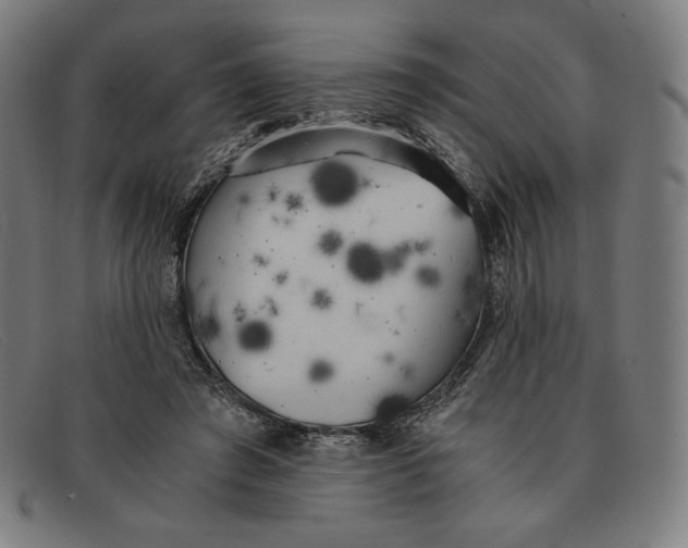 X0000091300401200708311341