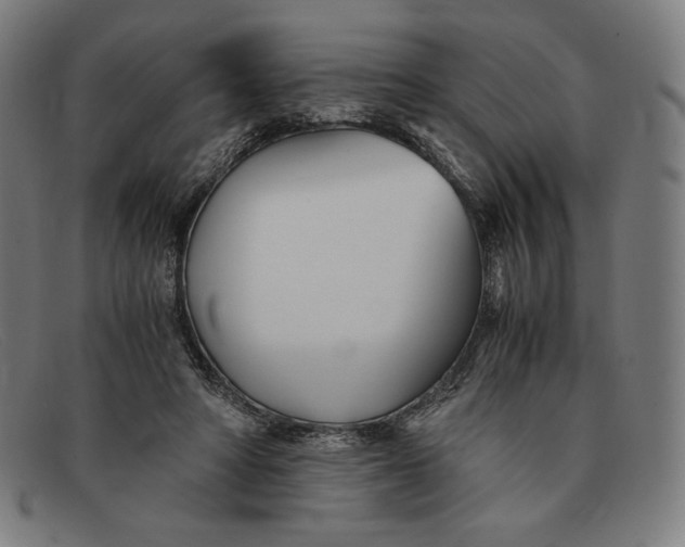 X0000091300402200708311341