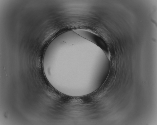 X0000091300403200708311341