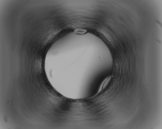 X0000091300404200708311341