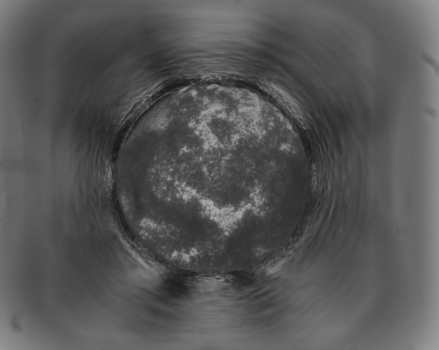 X0000091300405200708311341