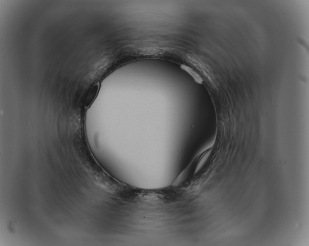 X0000091300407200708311341