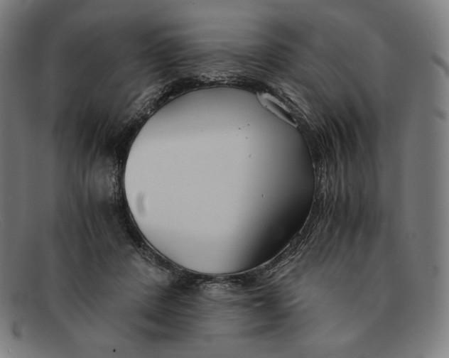 X0000091300408200708311341