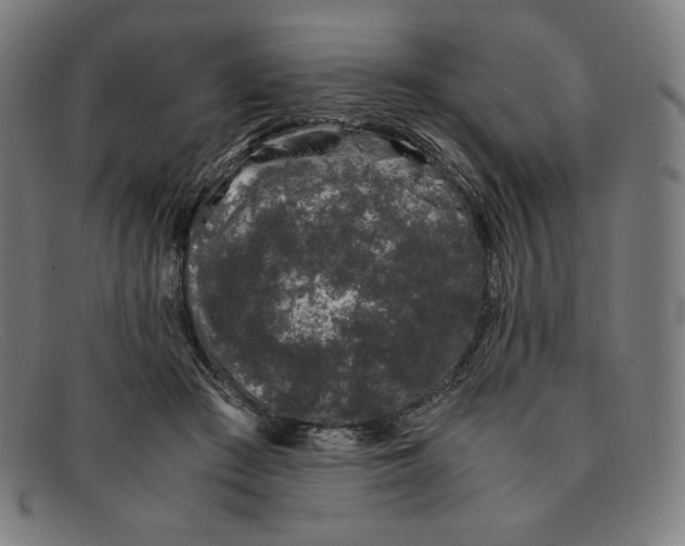 X0000091300409200708311341