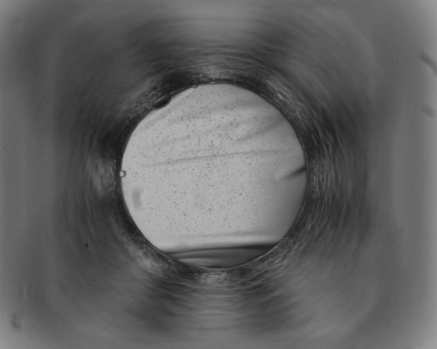 X0000091300410200708311341