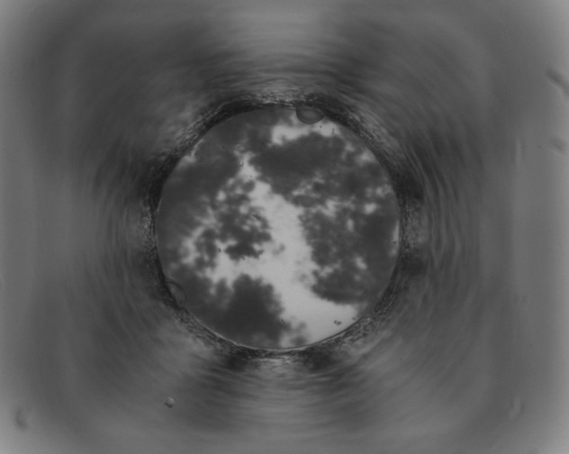 X0000091300411200708311341