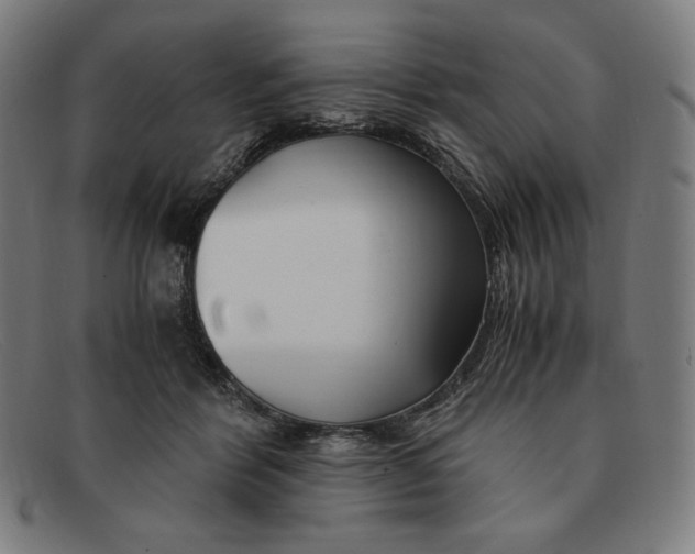 X0000091300412200708311341