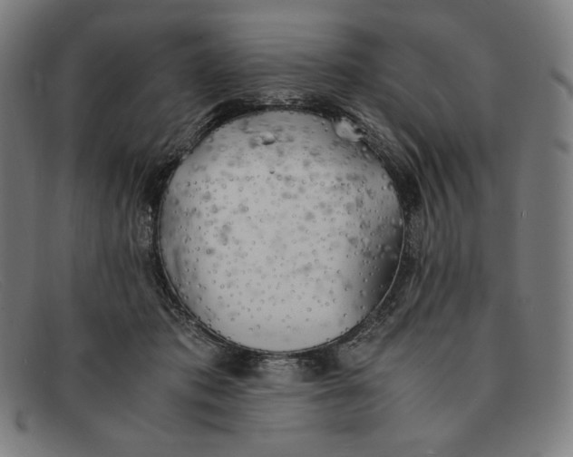 X0000091300413200708311341