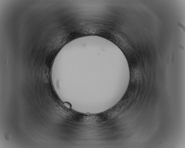 X0000091300414200708311341