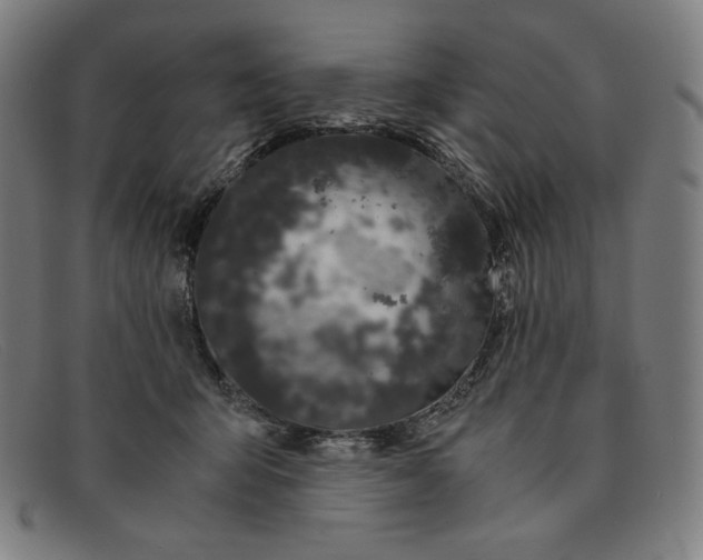 X0000091300415200708311341