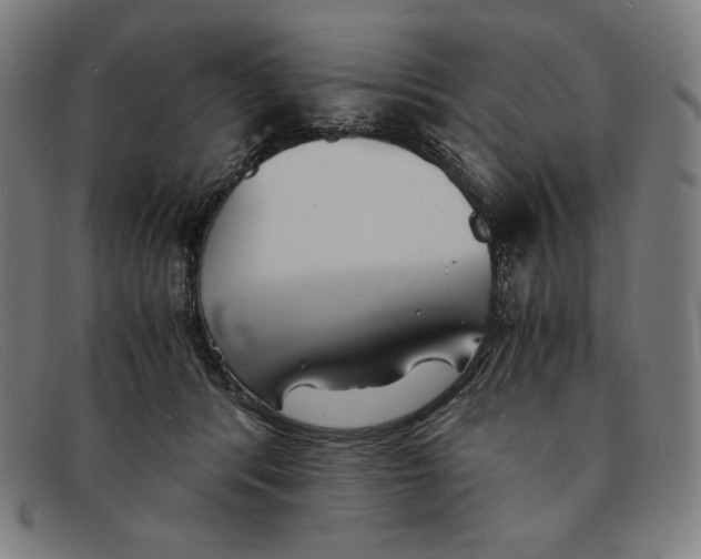 X0000091300416200708311341