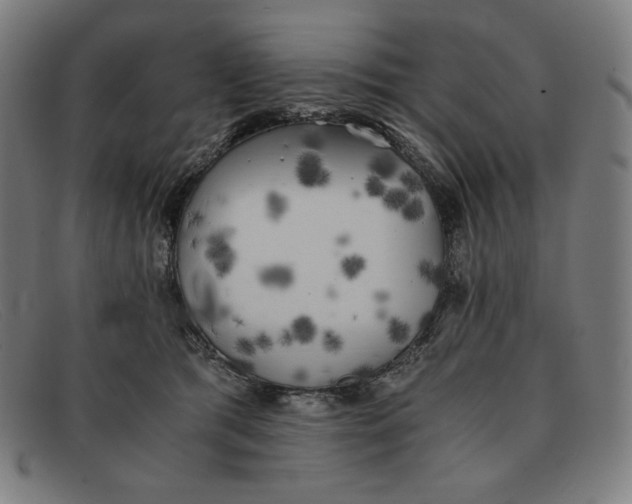 X0000091300417200708311340