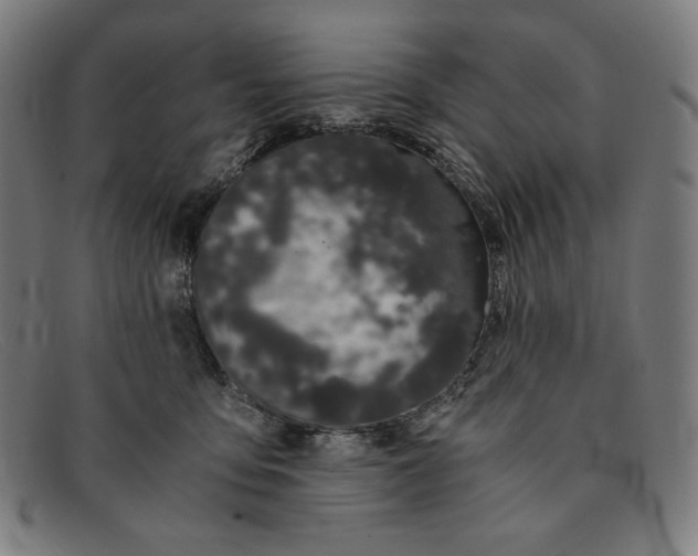 X0000091300419200708311340