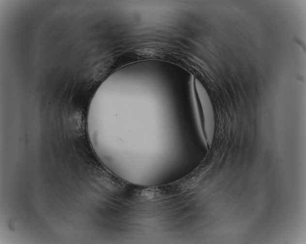 X0000091300420200708311340