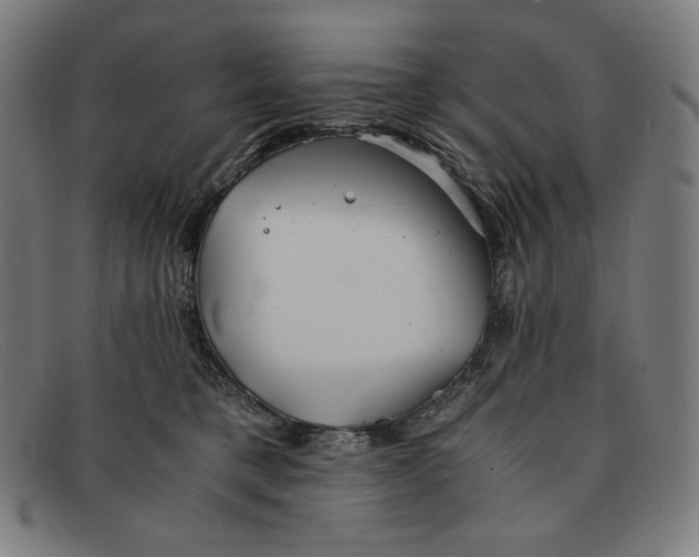 X0000091300421200708311340