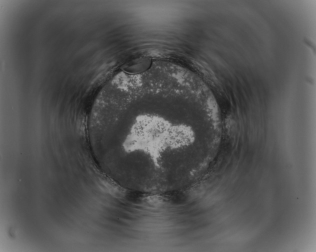 X0000091300423200708311340