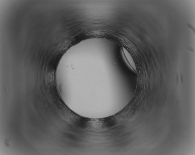 X0000091300425200708311340