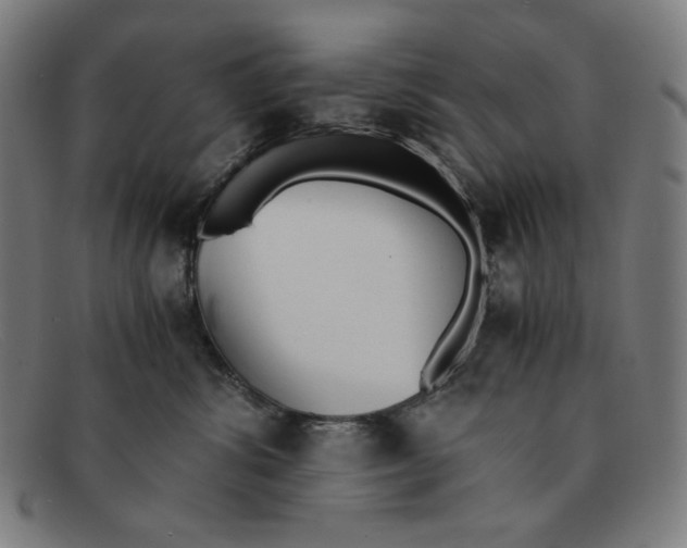 X0000091300428200708311340