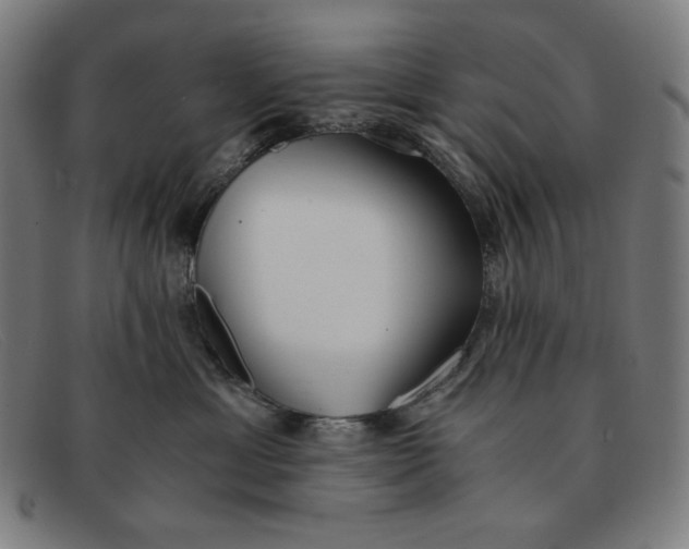 X0000091300429200708311340