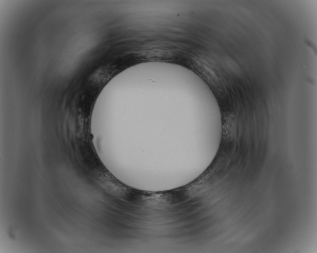 X0000091300430200708311340