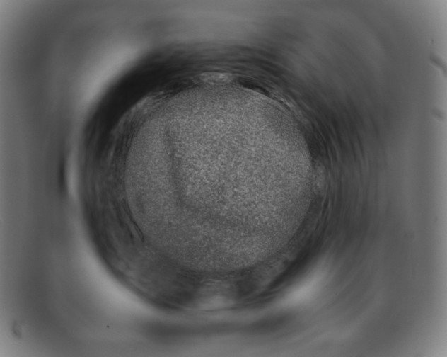 X0000091300431200708311340