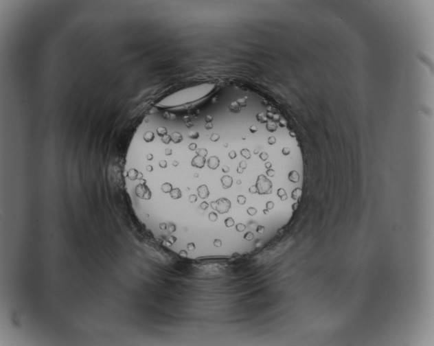 X0000091300432200708311340