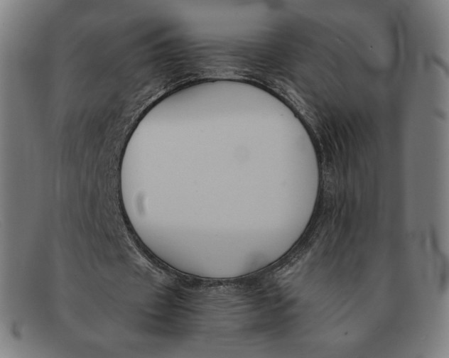 X0000091300433200708311340