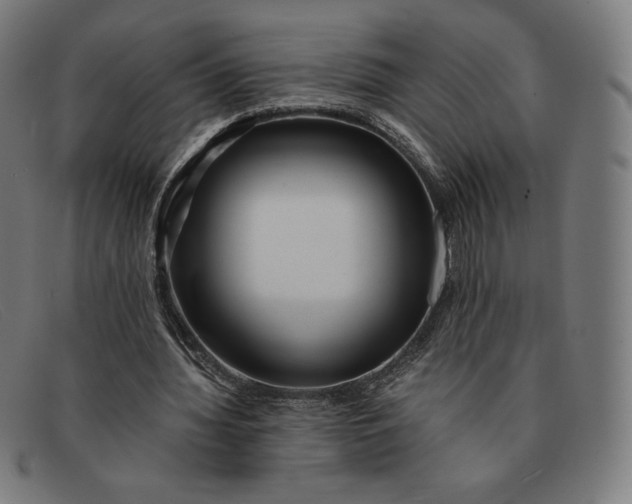 X0000091300436200708311340