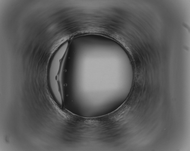 X0000091300437200708311340